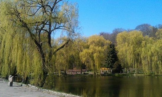 Muzyczna Neptuna w Gdańsku
